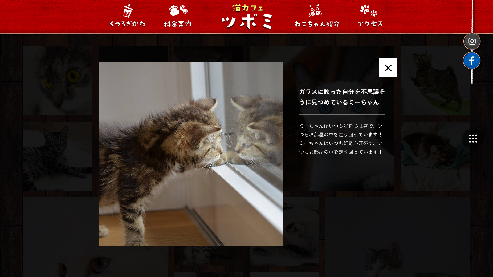 フォトギャラリー 詳細