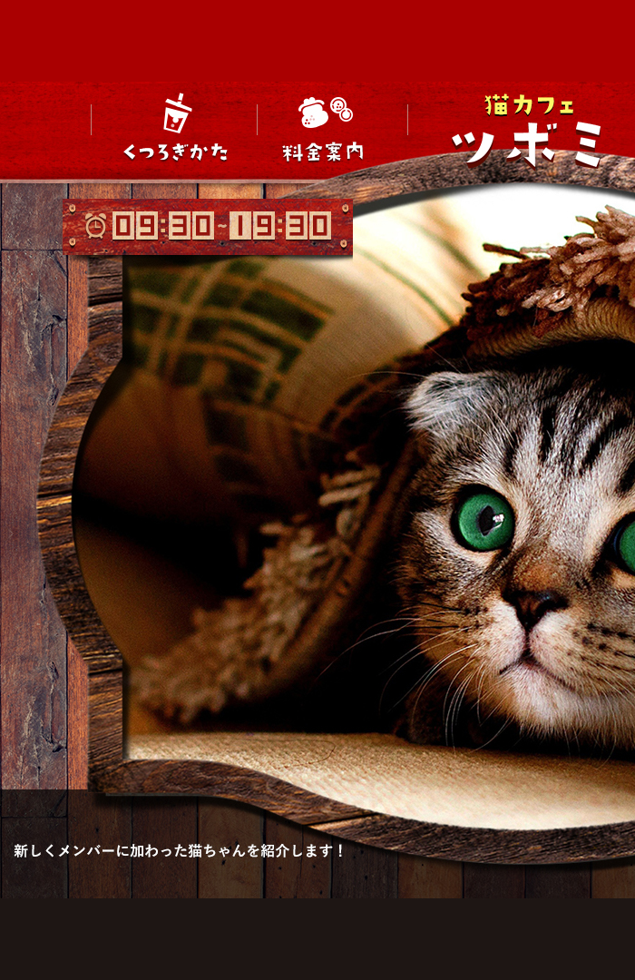 猫カフェサイトデザイン